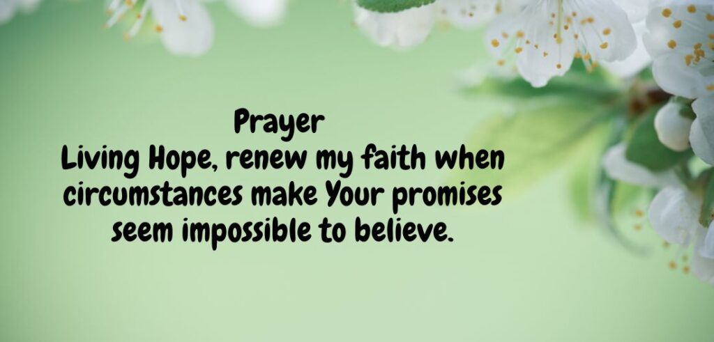 Prayers for Hope and Renewal