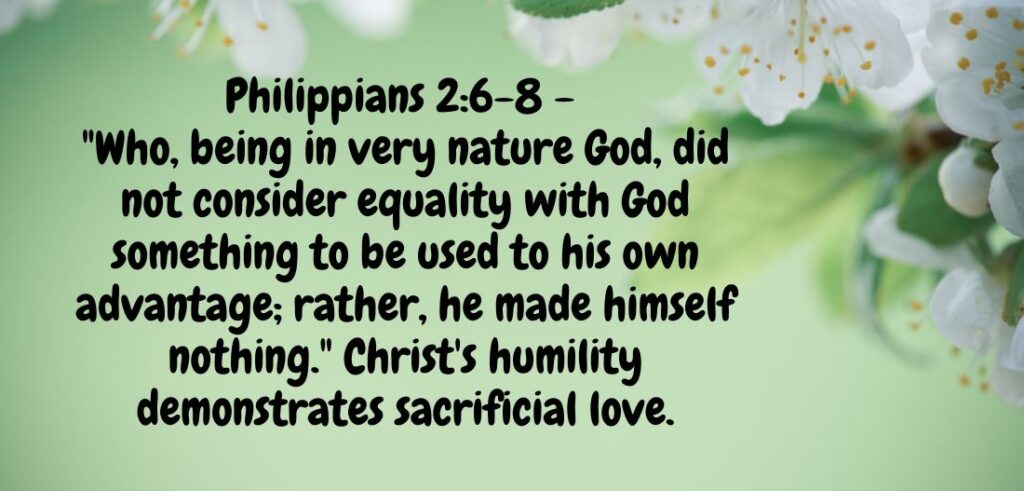radiantbiblical.com (31)